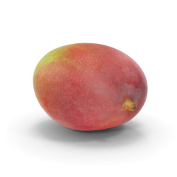 mango av.