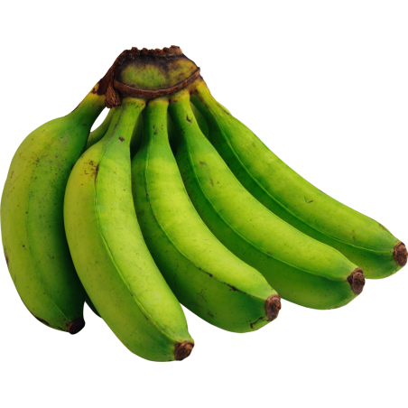 platano macho