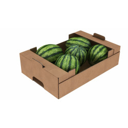 sandia box