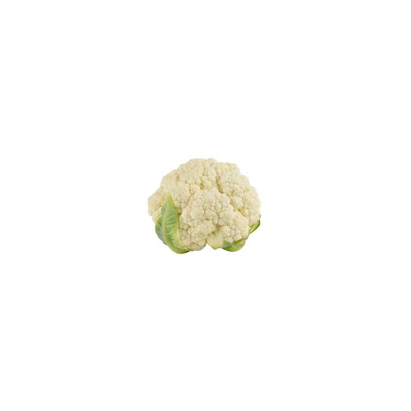 Coliflor