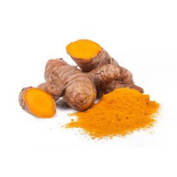 Curcuma