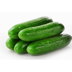Pepino