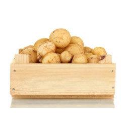 Patata caja