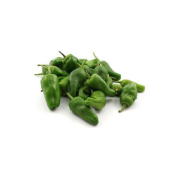 Pimiento Padron