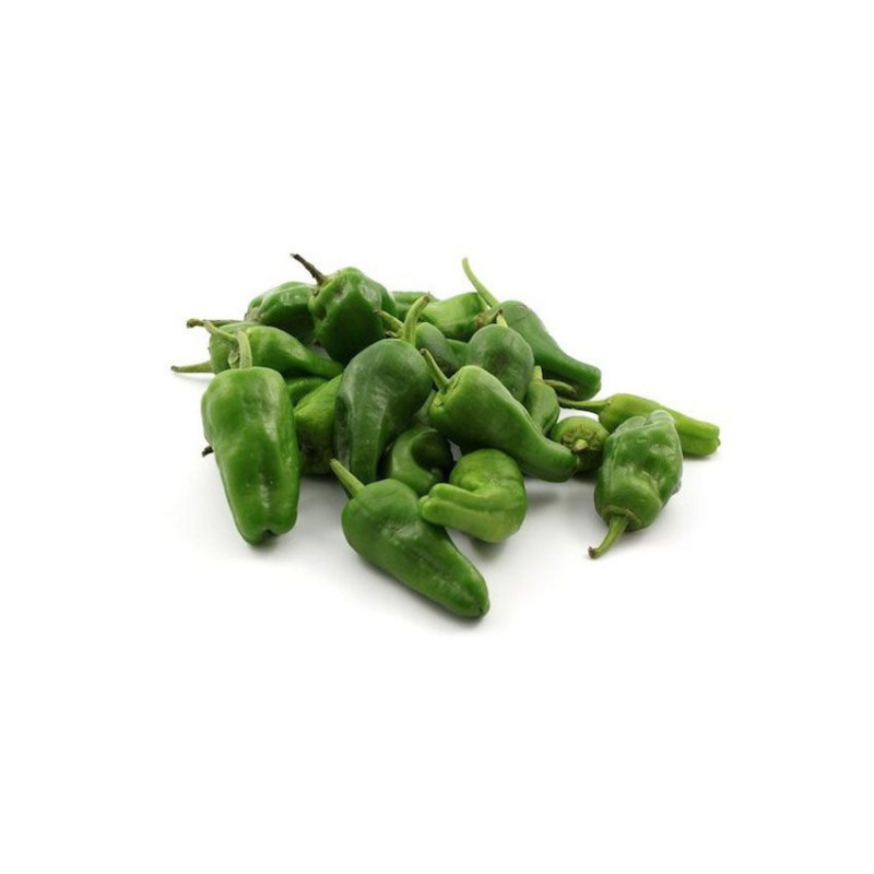 Pimiento Padron