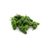 Pimiento Padron
